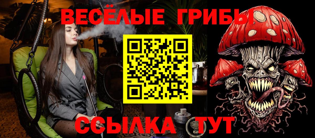 Алушта  Псилоцибиновые грибы MAGIC MUSHROOMS  Вход с VPN  Галлюциногенные грибы GOLDEN TEACHER 
