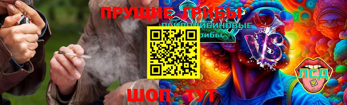 Псилоцибиновые грибы MAGIC MUSHROOMS Алушта